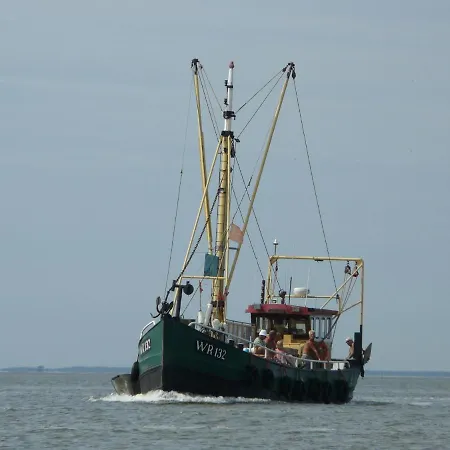 Modern Dutch With Terrace Villa