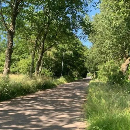 Modern Dutch With Terrace * Hippolytushoef