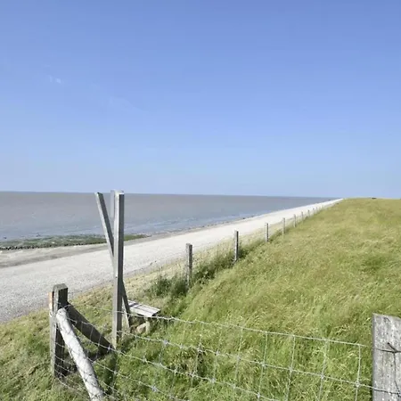 Modern Dutch With Terrace Villa Hippolytushoef