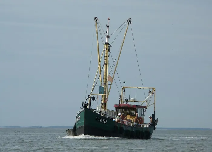 Modern Dutch With Terrace Villa