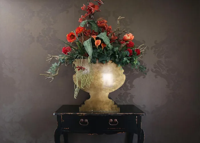 Modern Dutch With Terrace Villa Hippolytushoef