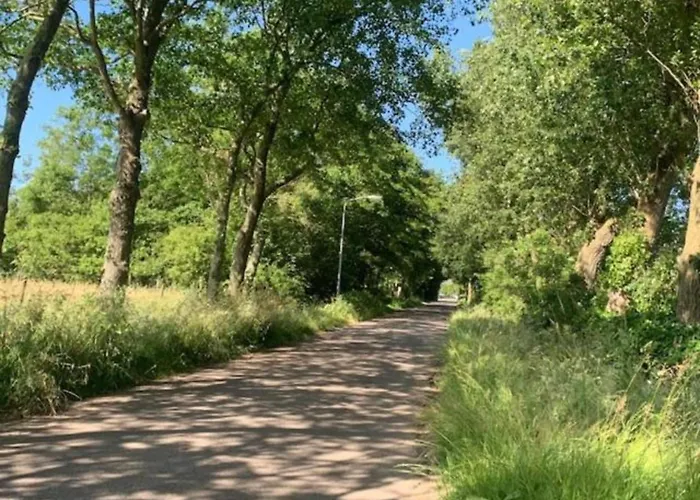 Modern Dutch With Terrace * Hippolytushoef