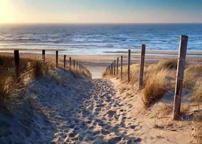 Modern Dutch With Terrace * Hippolytushoef